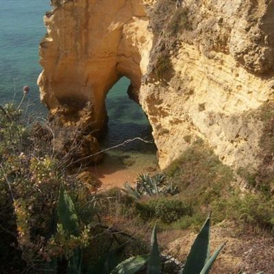 澳门金沙登入网